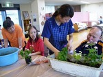 8月の園芸活動